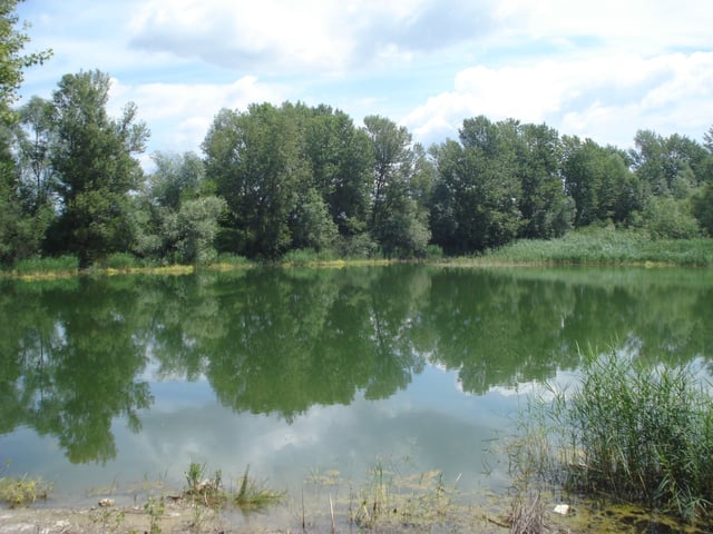 A naturalized former gravel pit lake in northern Croatia