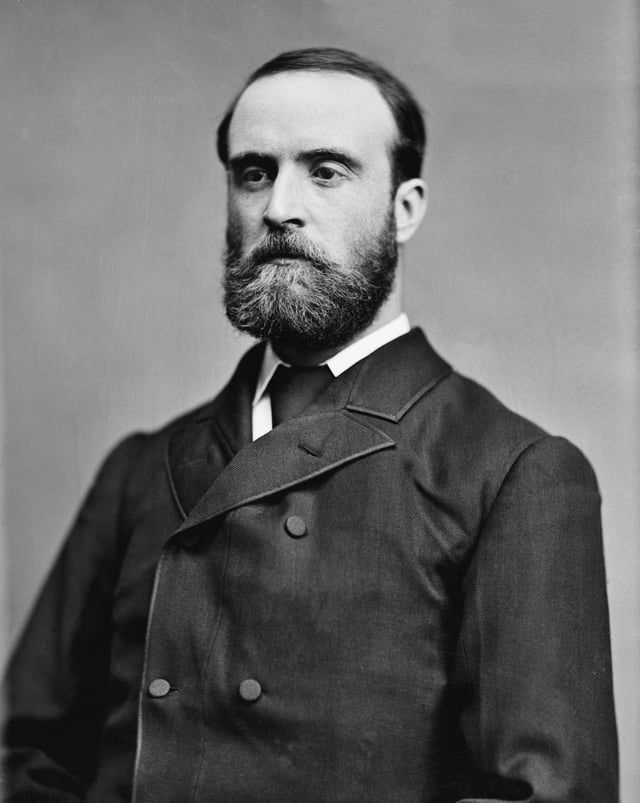 The Irish Parliamentary Party was formed in 1882 by Charles Stewart Parnell (1846–1891).