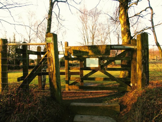 A gate into Ashdown Forest at sunset