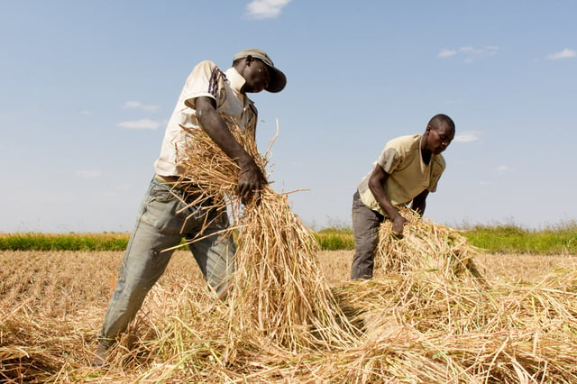 Farmers in Igunga District, Tanzania