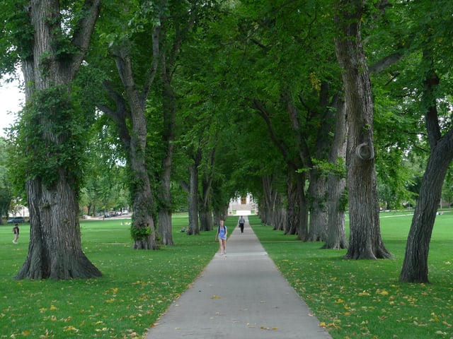 The Oval today, leading towards the Administration Building