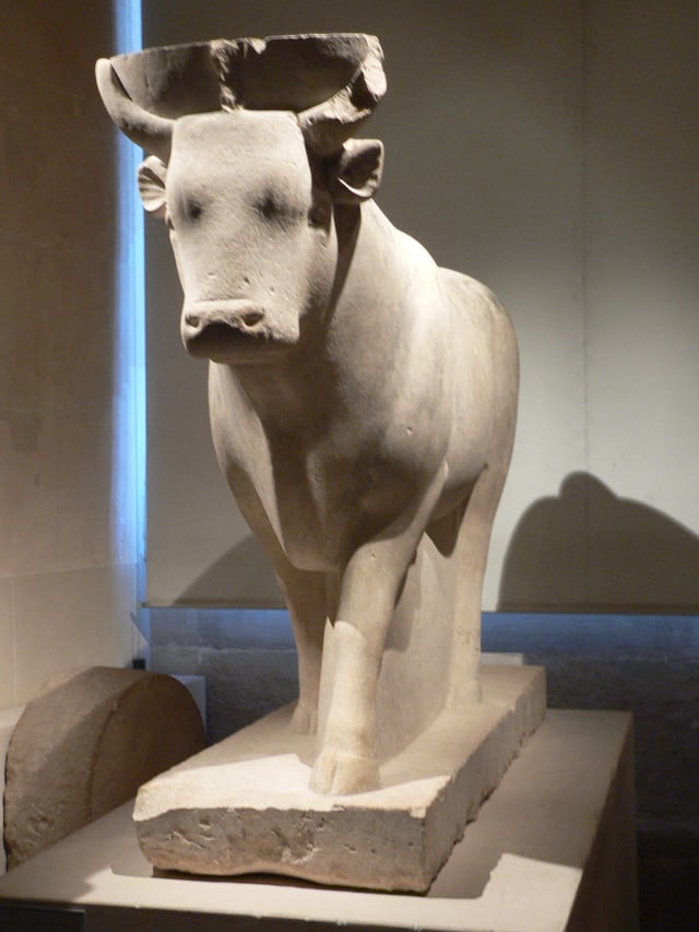 A statue of the sacred bull, Apis, found at the Serapeum of Saqqara.