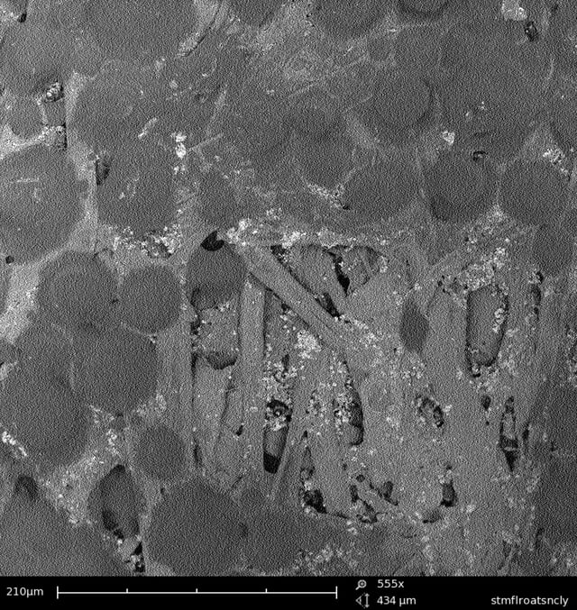 The adhesive side of a Post-it Note, magnified 555x on an SEM