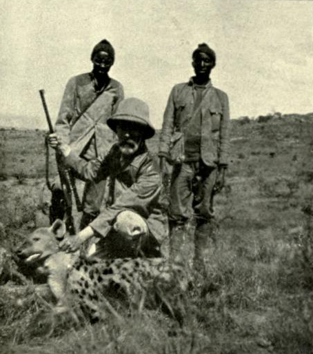 Spotted hyena shot by Abel Chapman at the Lukenia Heights, 23 January 1906