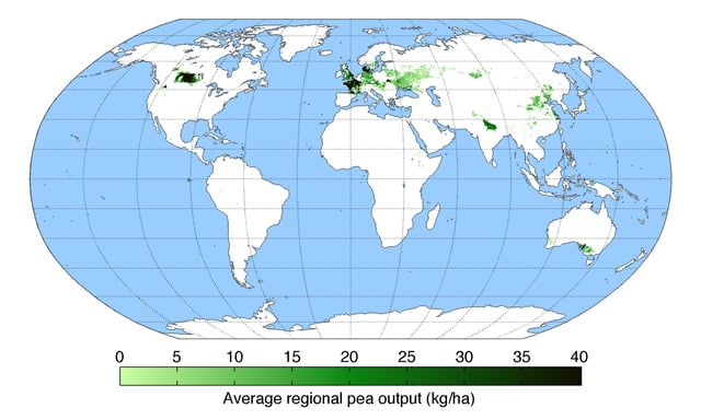 Worldwide pea yield