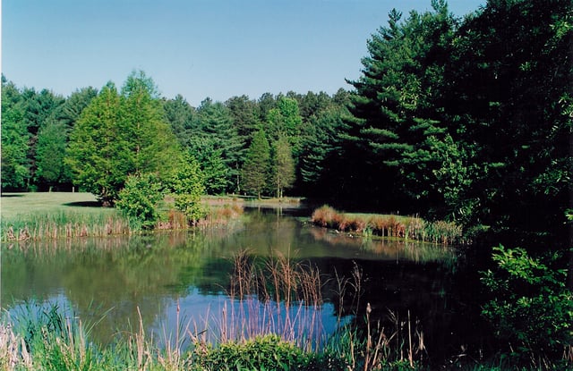 The Blackbird Pond on the Blackbird State Forest Meadows Tract in New Castle County, Delaware