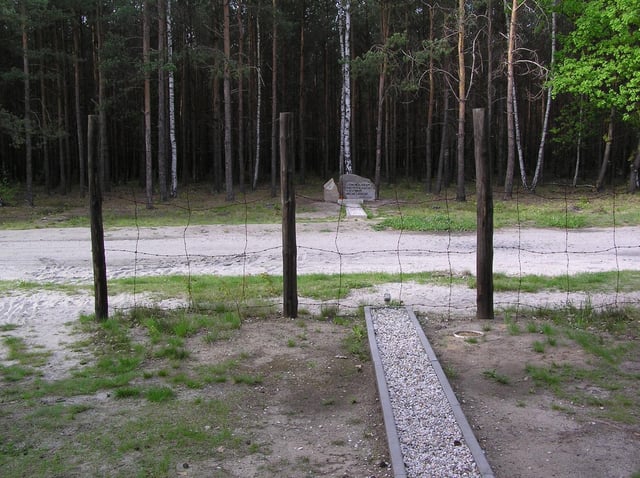 End of the real "Harry" tunnel (on the other side of the road) showing how it does not reach the cover of the trees