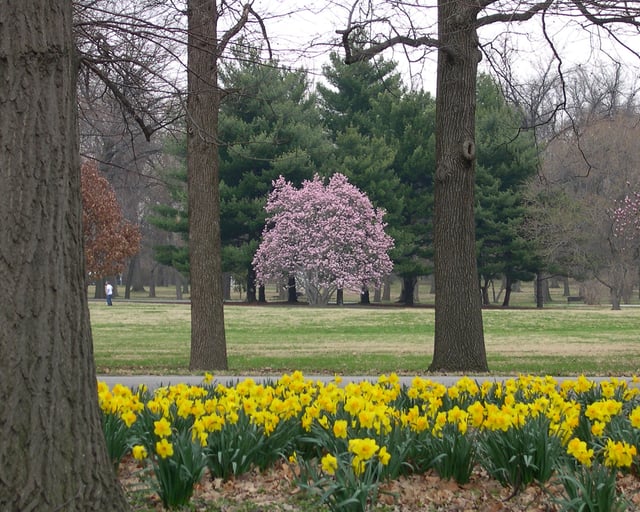 Tower Grove Park in spring