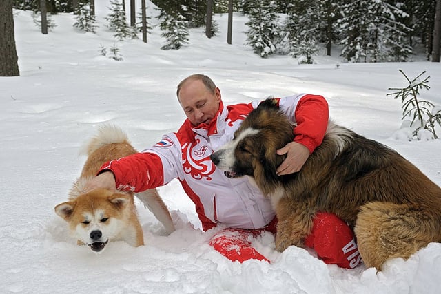Putin with Yume and Buffy in 2013