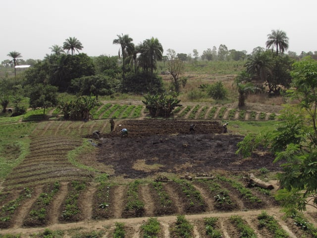 Extensive agriculture in north of Benin, near Djougou.