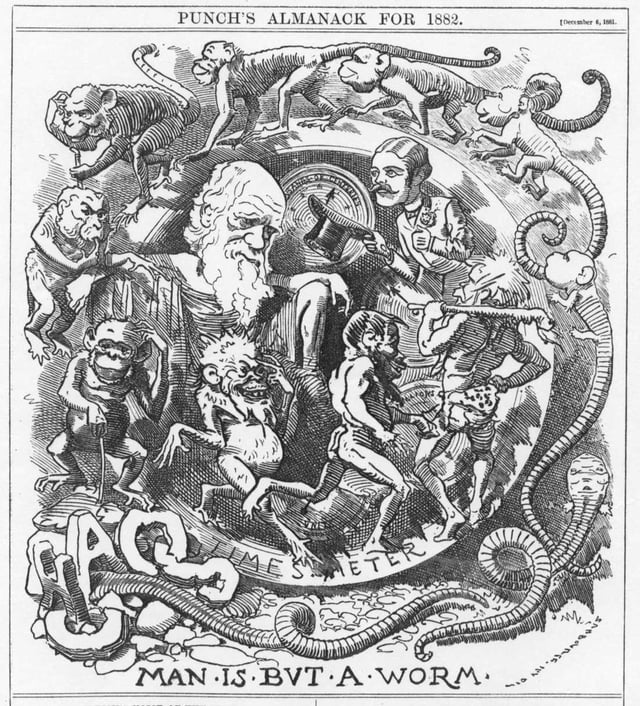 Punch's almanac for 1882, published shortly before Darwin's death, depicts him amidst evolution from chaos to Victorian gentleman with the title Man Is But A Worm.