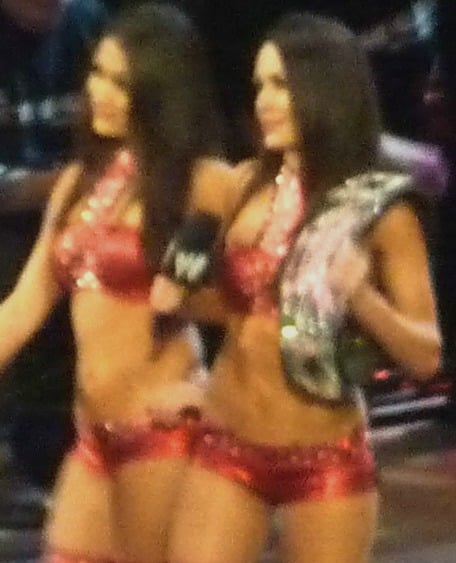 Brie Bella (right) with Nikki Bella (left) during her reign as Divas Champion in April 2011