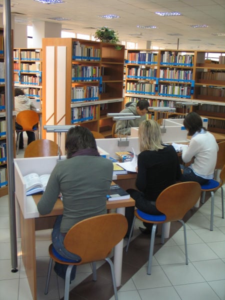 University students, like these students doing research at a university library, are often assigned essays as a way to get them to analyze what they have read.