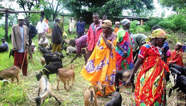 A group of Burundian women rearing goats.