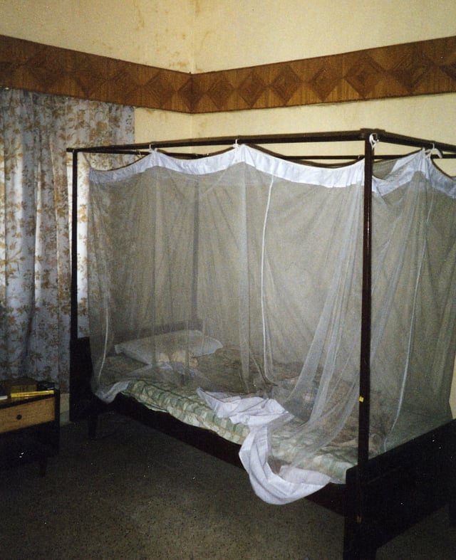 A mosquito net in use.