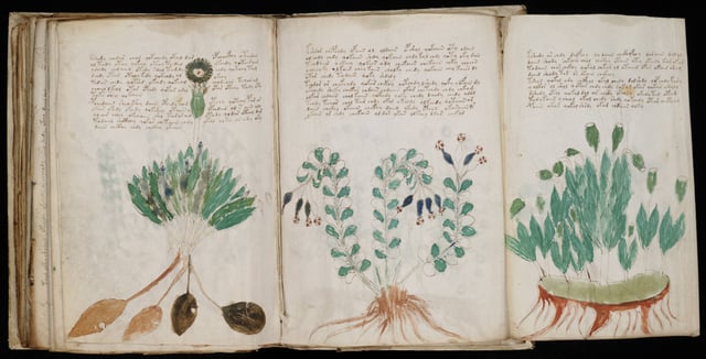 The Voynich manuscript housed at Beinecke Library