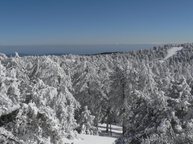 The Troodos Mountains experience heavy snowfall in winter