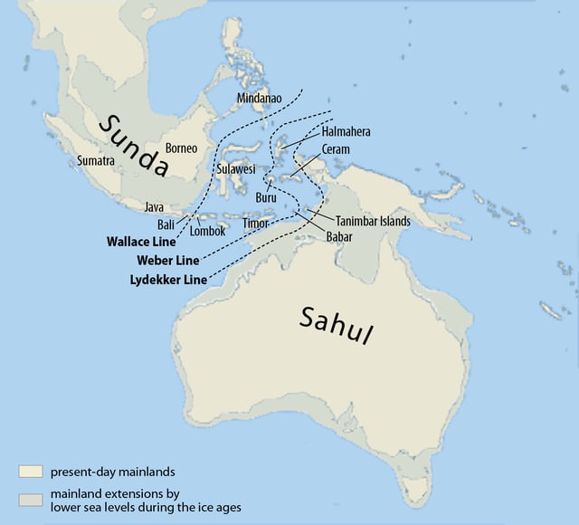 The Sahul Shelf and the Sunda Shelf during the past 12,000 years: Tasmania separated from the mainland 12,000 YBP, and New Guinea separated from the mainland 6,500–8,500 YBP.