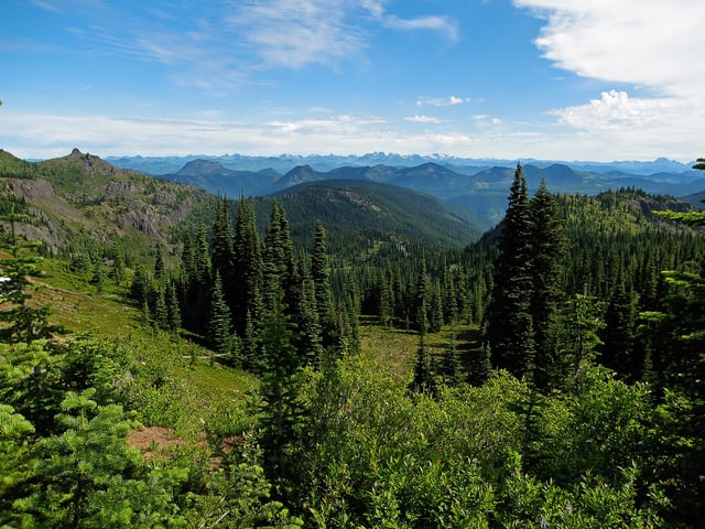 Mount Baker-Snoqualmie National Forest
