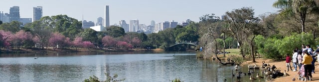 Ibirapuera Park panorama