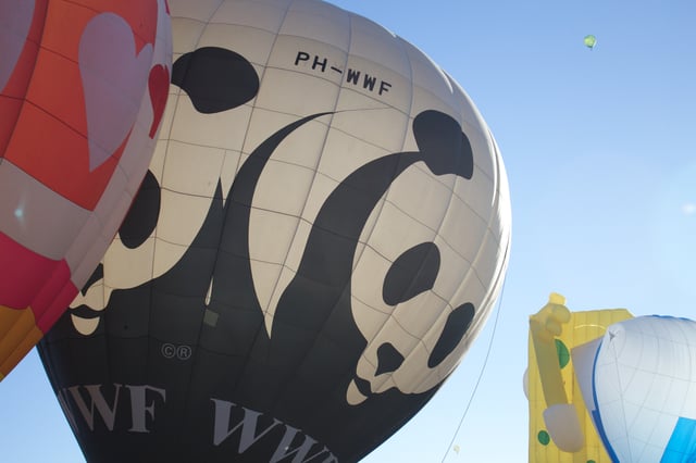 A WWF hot air balloon in Mexico (2013).