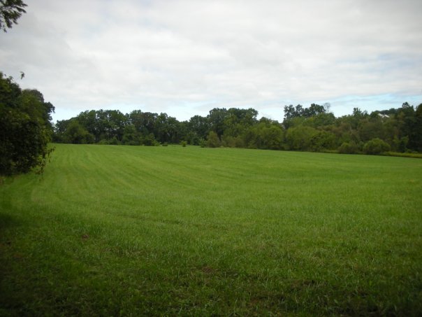 A field north of Fox Den Rd., along the Lenape Trail in Middle Run Valley Natural Area
