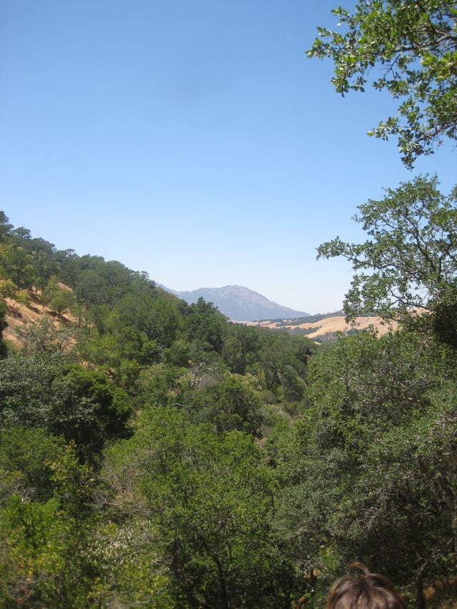 Typical Livermore area landscape (Morgan Territory Regional Preserve near Livermore)
