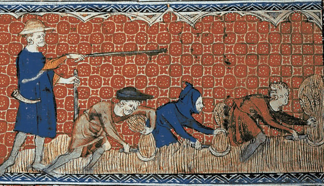 Depiction of socage on the royal demesne in  feudal England, c. 1310
