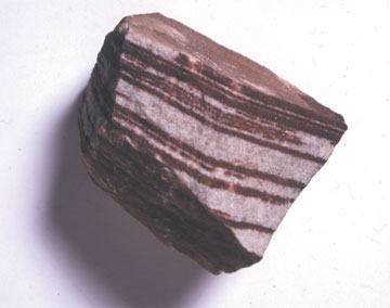 Sedimentary sandstone with iron oxide bands