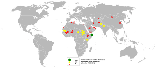 Commercial camel market headcount in 2003