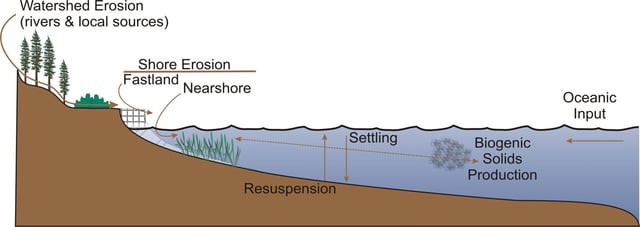 Sediment sources in the Chesapeake Bay