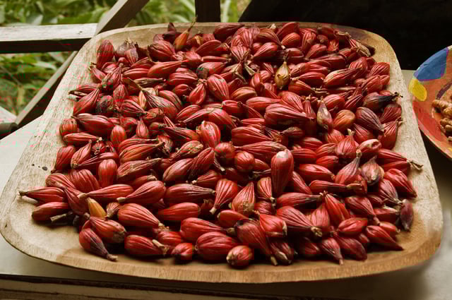 Ossame fruit (pepper) in São Tomé and Príncipe