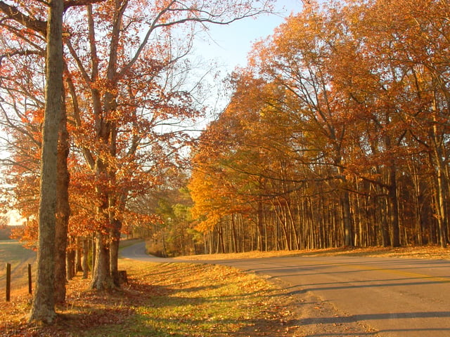 Autumn in Tennessee; roadway to Lindsey Lake in David Crockett State Park, located a half mile west of Lawrenceburg