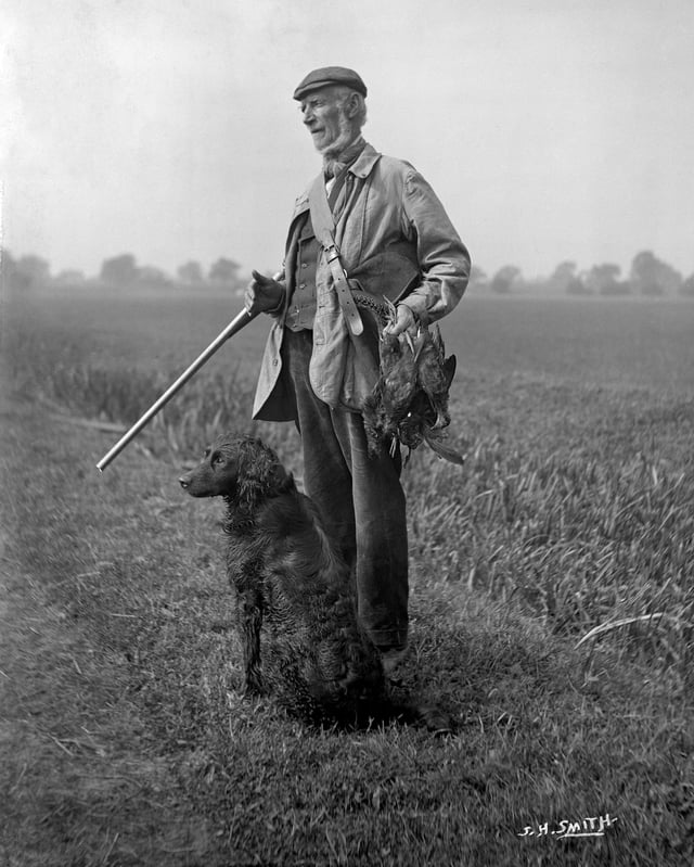 Snowden Slights with retriever and shotgun around 1910, 'the last of Yorkshire's Wildfowlers'
