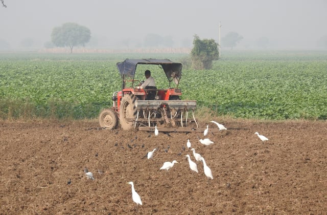 Located in the rich fertile Indo-Gangetic Plain, agriculture is the largest employment generator in the state.