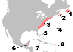 British colonies in North America, c. 1750.NewfoundlandNova ScotiaThirteen ColoniesBermudaBahamasBritish HondurasJamaicaBritish Leeward Islands and Barbados
