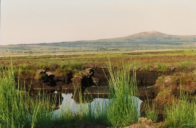 A bog around the Monts d'Arrée.