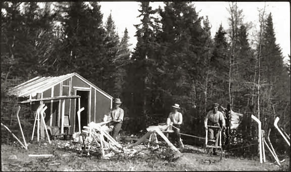 Miꞌkmaq making hockey sticks from hornbeam trees (Ostrya virginiana) in Nova Scotia about 1890.