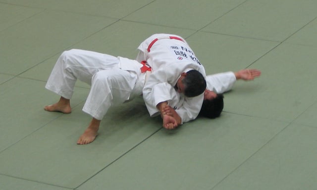 An "americana" or "paintbrush" submission from traditional side control