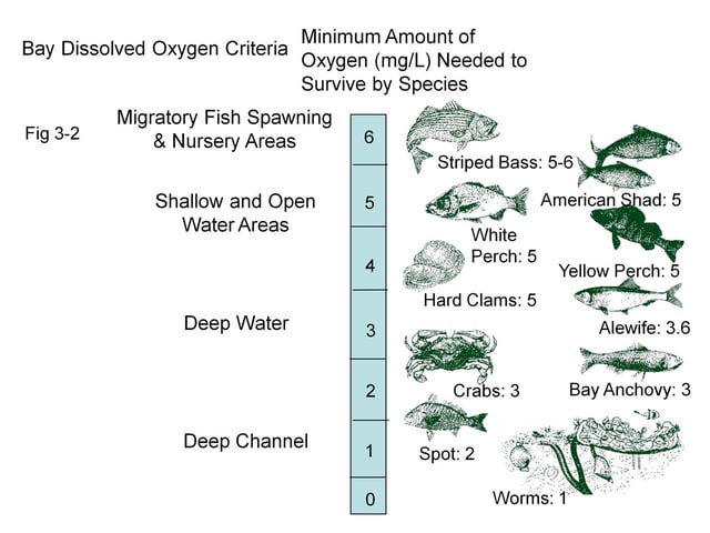 Dissolved oxygen levels required by various species