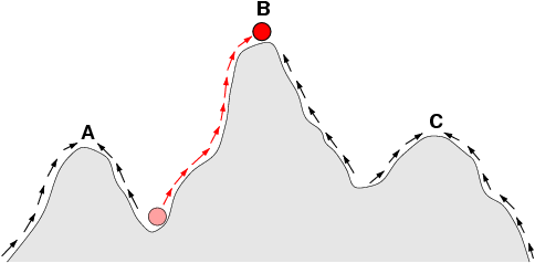 In this sketch of a fitness landscape, a population can evolve by following the arrows to the adaptive peak at point B, and the points A and C are local optima where a population could become trapped.