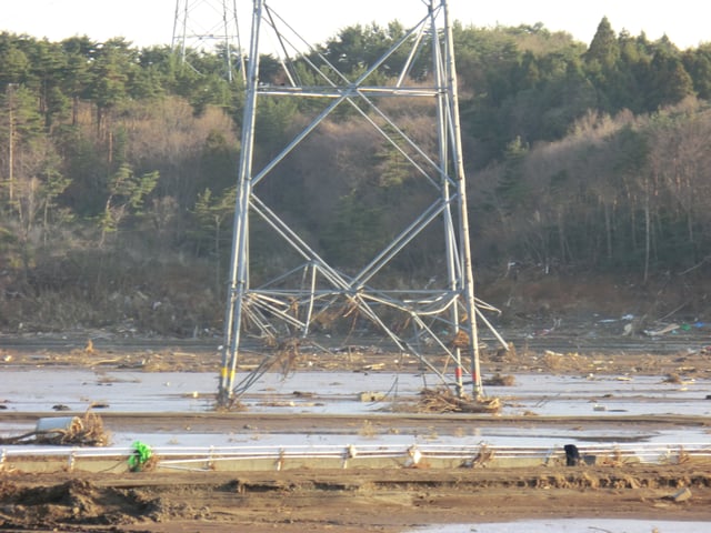 Damage to electricity transmission lines