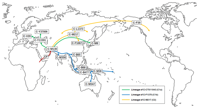 Migration route of paternal haplogroup C