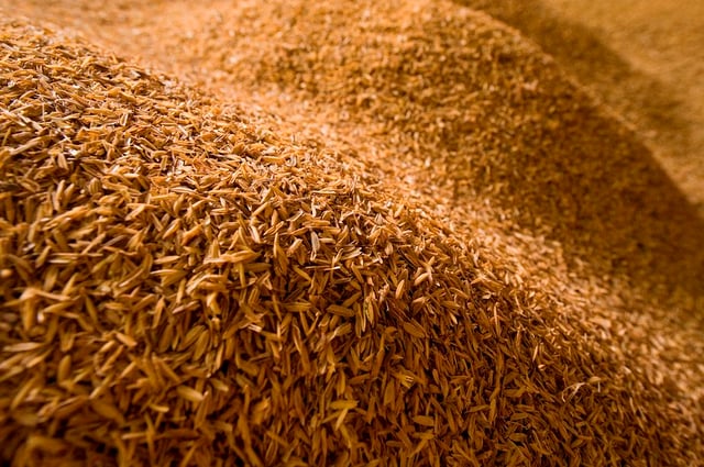 Rice husks