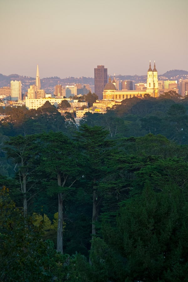Golden Gate Park as seen from Strawberry Hill