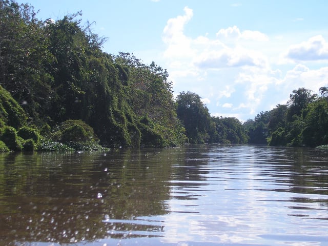 Kapuas River in Indonesia; at 1,000 km (620 mi) in length, it is the longest river in Borneo.