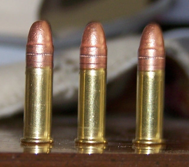 High-velocity, copper-plated .22 LR rounds