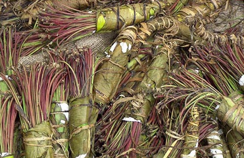 "Operation Somalia Express" was an 18-month investigation which included the coordinated takedown of a 44-member international narcotics-trafficking organization responsible for smuggling more than 25 tons of khat from the Horn of Africa to the United States.