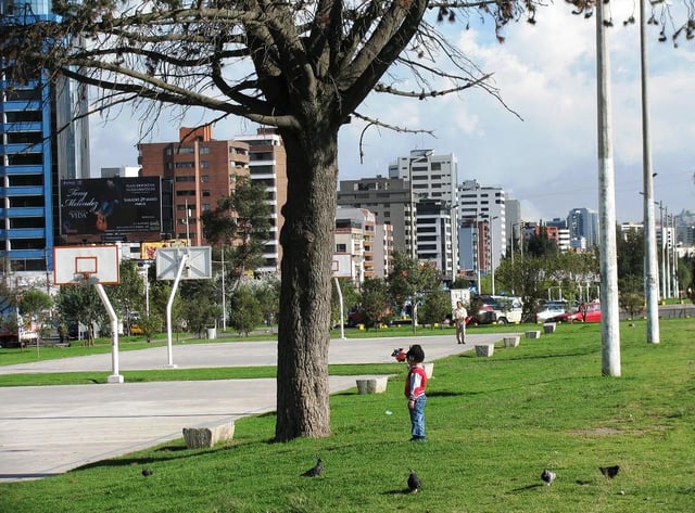 La Carolina park next to Amazonas Avenue