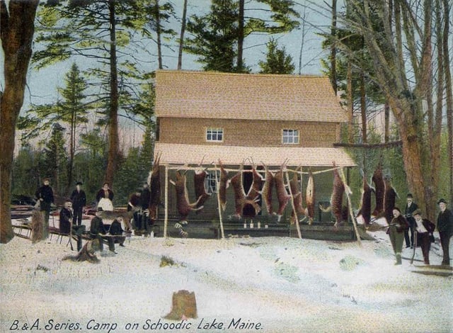 Hunting camp with dressed deer at Schoodic Lake, Maine, in 1905